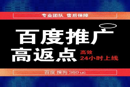 百度广告推广案例：拓展市场份额